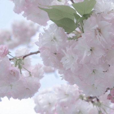 兽设场景氛围营造兽圈社群